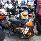 DSCN9007.JPG