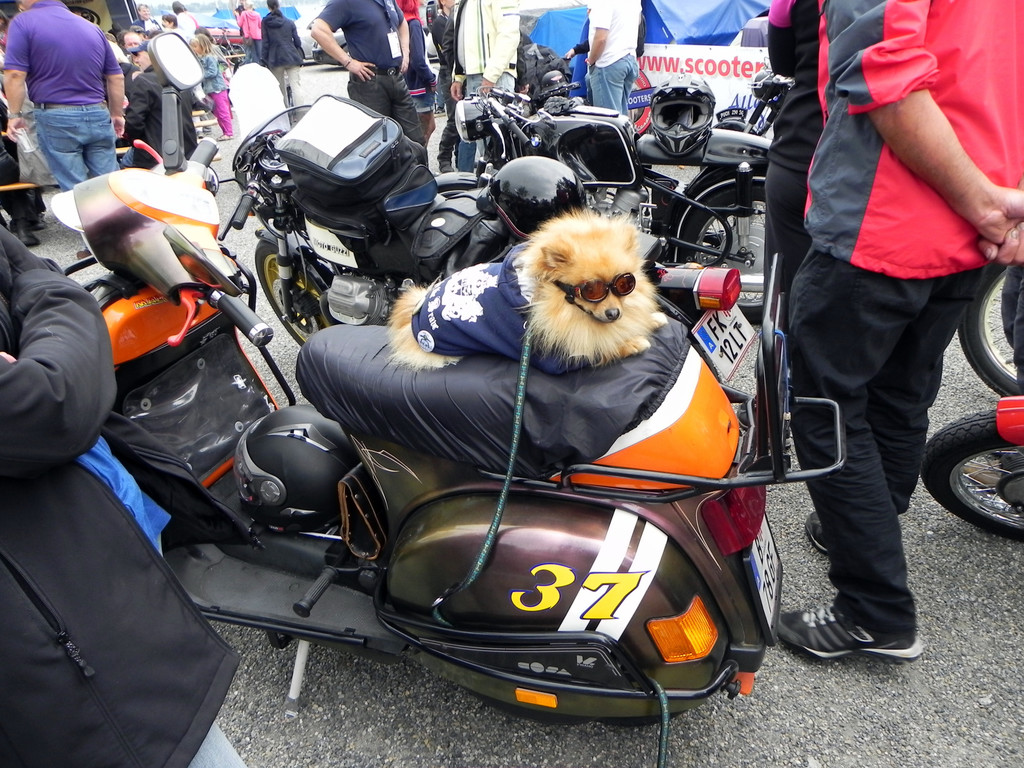 DSCN9007.JPG