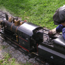 PICT0329.JPG