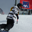 IMGP0203.JPG