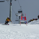 IMGP0204.JPG