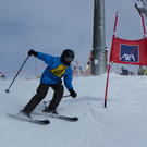 IMGP0215.JPG