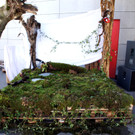 DSC06042_JPG-1346616276