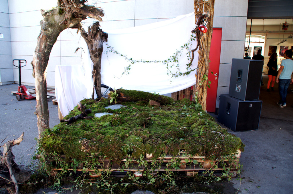 DSC06042_JPG-1346616276