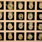 DSC06051_JPG-1346616649