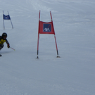 IMGP0236.JPG