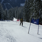 IMGP0245.JPG