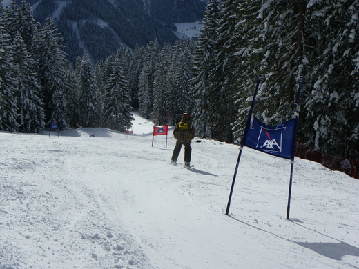 IMGP0245.JPG