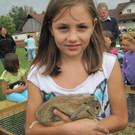 IMG_4580_JPG-1346661156