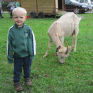 IMG_4584_JPG-1346661562