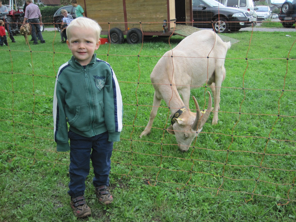 IMG_4584_JPG-1346661562