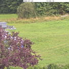 image.cgi