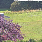 image.cgi