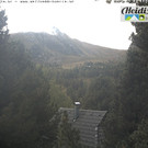 Livecam Falkert