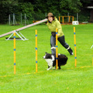 Tierschutz H__chst 31-08-2012 9_jpg-1346676414