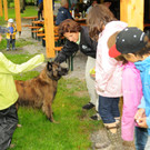 Tierschutz H__chst 31-08-2012 45_jpg-1346678024