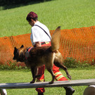ÖRHB - LG Vbg.