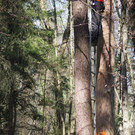 Suche_Einar_JPG-1346679689