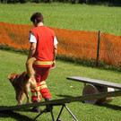 Wippe_Geeon_JPG-1346679988