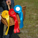 Dressurturnier Bregenz-Mehrerau