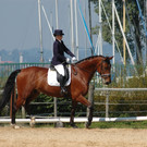 DSC_2779_JPG-1346681983