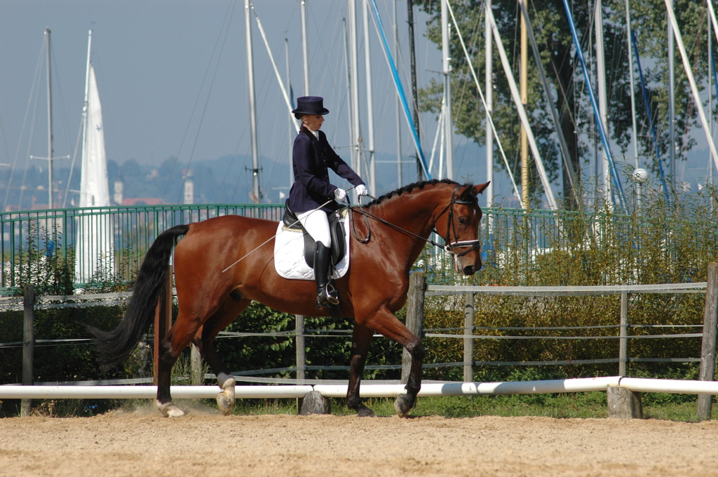 DSC_2779_JPG-1346681983