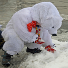 _DSC07850021_1.JPG