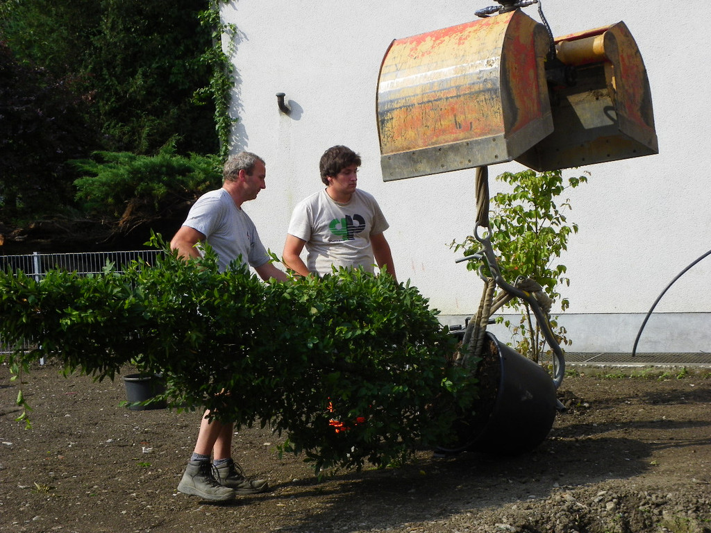 115_4867_JPG-1346708333