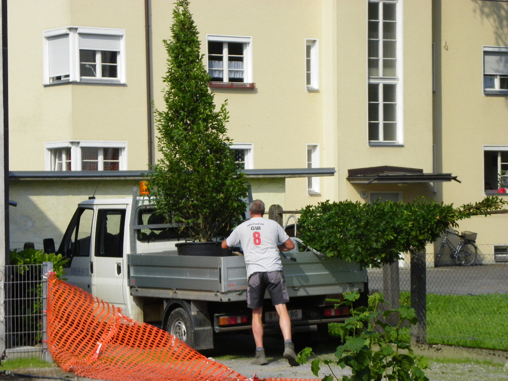 115_4854_JPG-1346708271