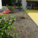 115_4868_JPG-1346708340