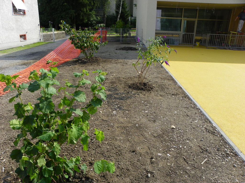 115_4868_JPG-1346708340