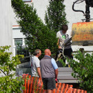 115_4862_JPG-1346708308