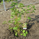 115_4860_JPG-1346708295