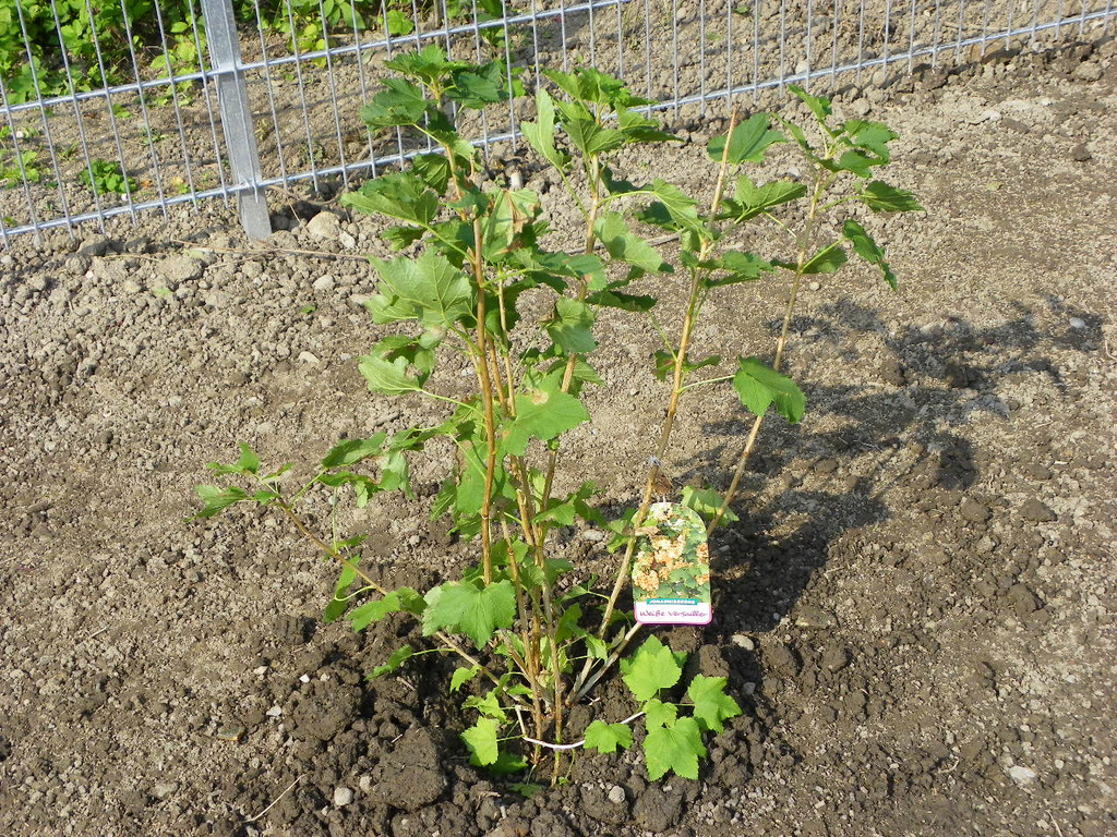 115_4860_JPG-1346708295