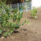 115_4861_JPG-1346708302