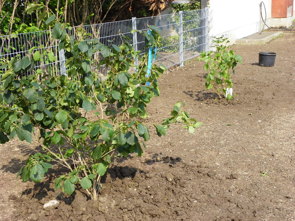 115_4861_JPG-1346708302