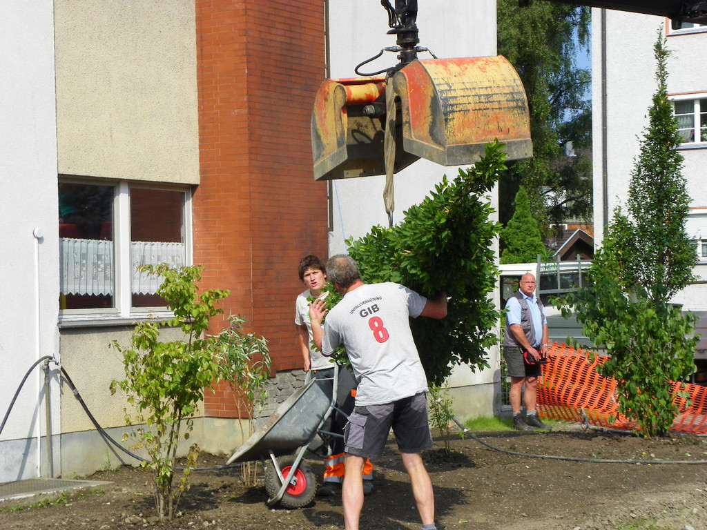 115_4865_JPG-1346708321