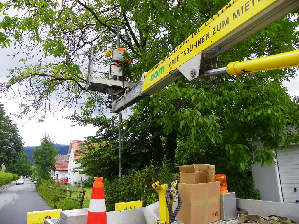 115_1468_JPG-1346708603