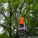 115_1465_JPG-1346708591