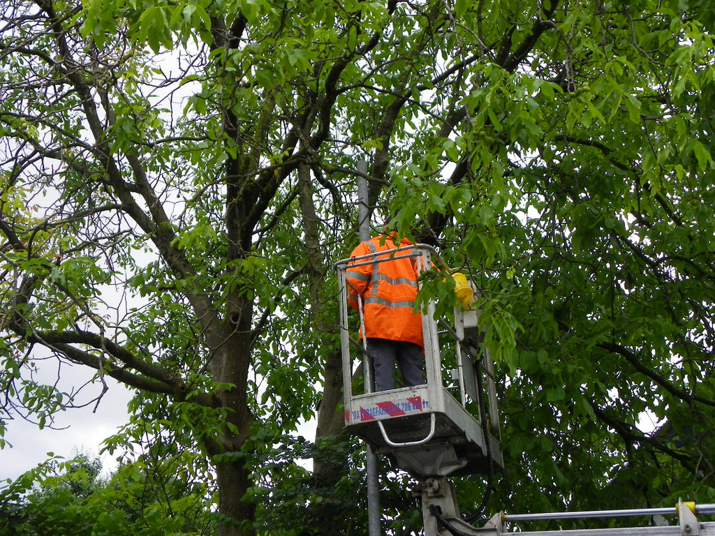 115_1465_JPG-1346708591