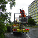 115_1462_JPG-1346708579