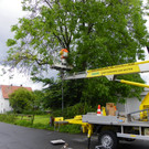 115_1466_JPG-1346708597