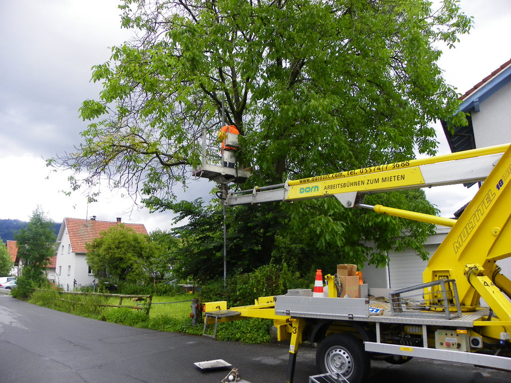 115_1466_JPG-1346708597