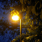 115_1475_JPG-1346708614