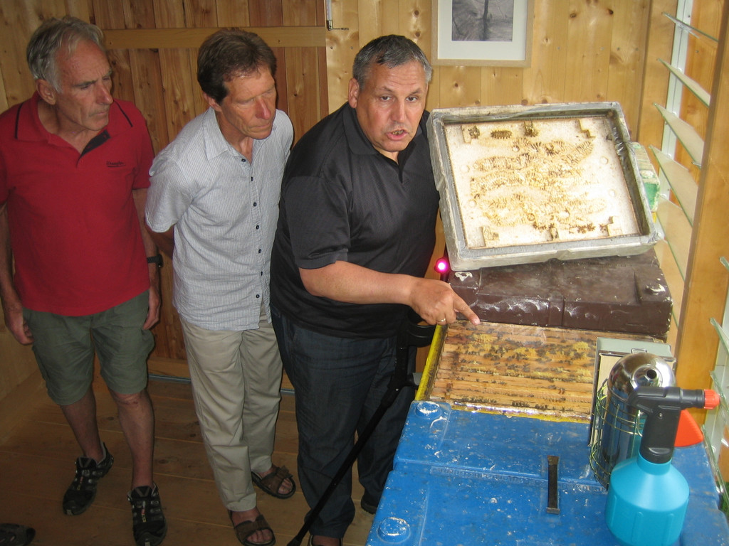 IMG_4898_jpg-1346742136