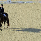 IBD0813-20120903.jpg