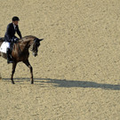 IBD0812-20120903.jpg