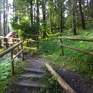 IMG_1691_JPG-1346748982