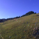 Livecam Tressdorfer Höhe
