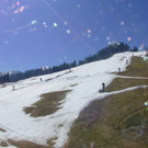 Livecam Tressdorfer Höhe